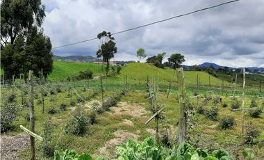 Venta de Finca en el Carmen de Viboral