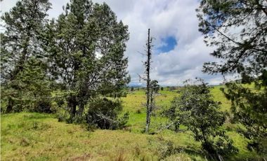 Venta de Finca en el Carmen de Viboral