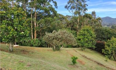Alquiler  Casa finca vía la Ceja San Antonio sector DL 8255418