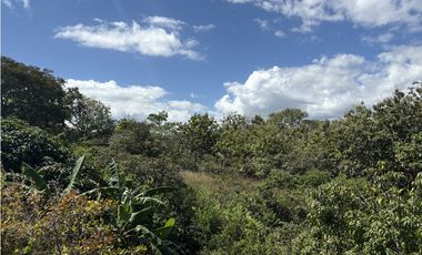 SAN CARLOS / EL NANCE / 6500 M / COLINDA CON RIO / CERCA DE PLAYA / AG