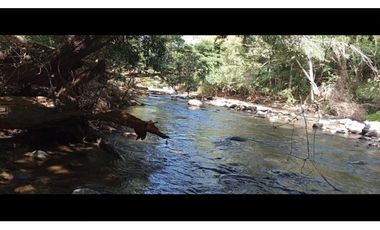 SAN CARLOS / EL NANCE / 6500 M / COLINDA CON RIO / CERCA DE PLAYA / AG