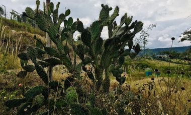 Venta terreno GUAYLLABAMBA, 2.000m2 construya la casa con vista a las montañas