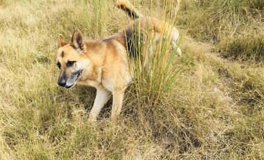 Venta terreno GUAYLLABAMBA, 2.000m2 construya la casa con vista a las montañas