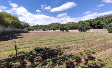 Venta terreno Guayllabamba 5.000m2, plano y junto al zoológico
