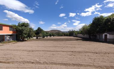 Venta terreno Guayllabamba 5.000m2, plano y junto al zoológico