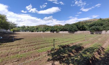 Venta terreno Guayllabamba 5.000m2, plano y junto al zoológico