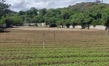 Venta terreno Guayllabamba 5.000m2, plano y junto al zoológico