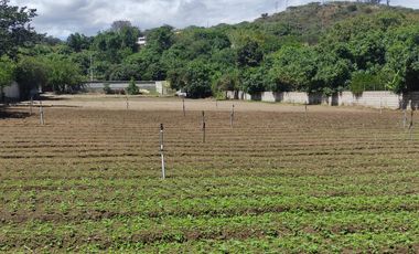 Venta terreno Guayllabamba 5.000m2, plano y junto al zoológico