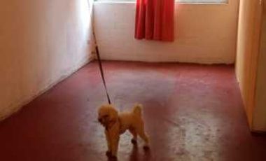 Departamento en venta en EL QUISCO