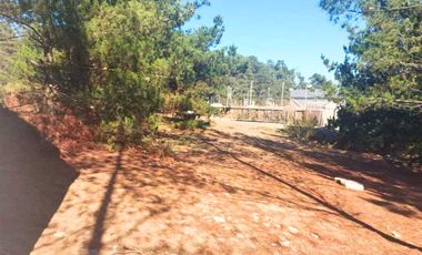 Parcela en venta en VIÑA DEL MAR