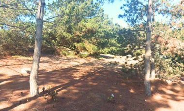 Parcela en venta en VIÑA DEL MAR