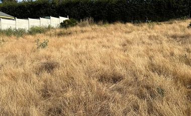 Parcela en venta en CONCON