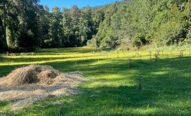 Parcela en venta en LANCO