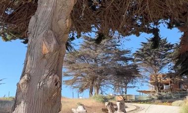 Parcela en venta en PICHILEMU