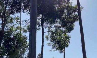 Parcela en venta en PICHILEMU