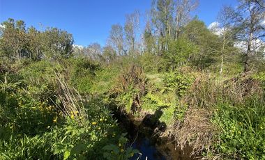 Parcela en Venta en cervezeria krater