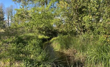 Parcela en Venta en cervezeria krater