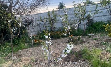 Casa en Venta en Yerbas Buenas