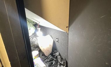 Sitio en Arriendo en Avenida Bellavista entre Purísima y Bombero Nuñez