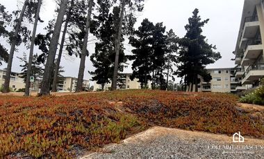 Departamento en Venta en Avenida Esmeralda 1525