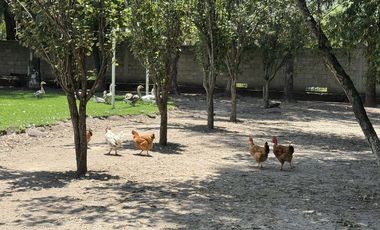 Bonita Quinta en Tepeji del Río