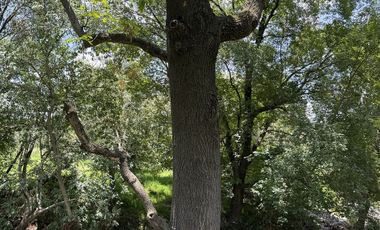 Bonita Quinta en Tepeji del Río