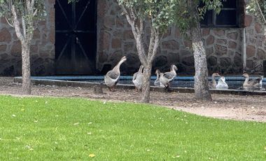 Bonita Quinta en Tepeji del Río