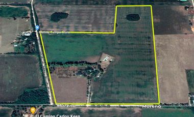 Campo en Venta en Carlos Keen - 28,65ha