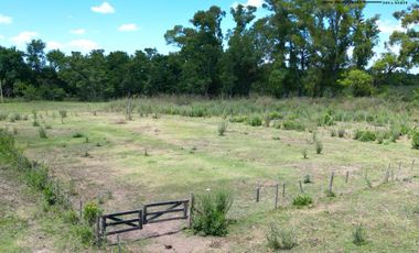 Campo en Venta en Carlos Keen - 28,65ha