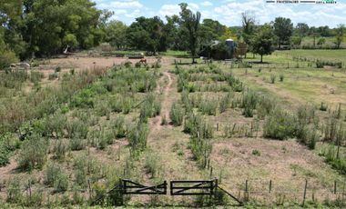 Campo en Venta en Carlos Keen - 28,65ha