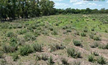 Campo en Venta en Carlos Keen - 28,65ha