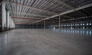 Alquiler - Deposito AAA 17.000 M2 - Esteban Echeverria