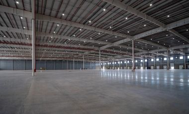 Alquiler - Deposito AAA 17.000 M2 - Esteban Echeverria