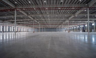 Alquiler - Deposito AAA 17.000 M2 - Esteban Echeverria