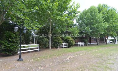 Haras del sur I