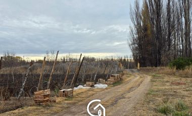 Chacra en  Vista Alegre Sur