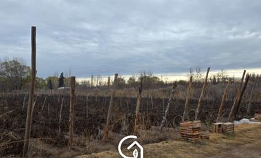 Chacra en  Vista Alegre Sur