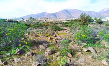 VENTA DE TERRENO cerca de Guanaqueros.