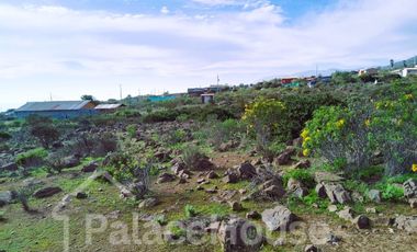 VENTA DE TERRENO cerca de Guanaqueros.