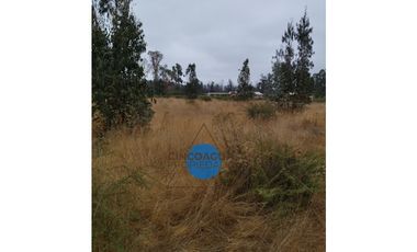 Foresta de Zapallar con 2 cabañas en obra