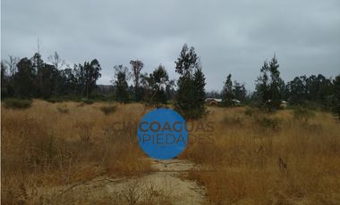 Foresta de Zapallar con 2 cabañas en obra