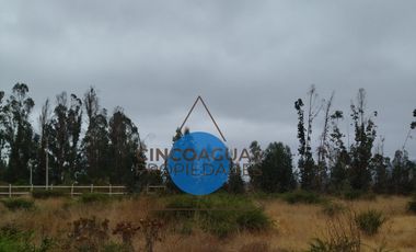 Foresta de Zapallar con 2 cabañas en obra