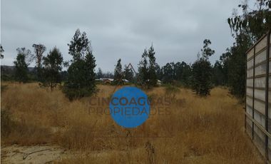 Foresta de Zapallar con 2 cabañas en obra