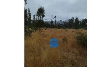 Foresta de Zapallar con 2 cabañas en obra