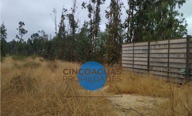 Foresta de Zapallar con 2 cabañas en obra