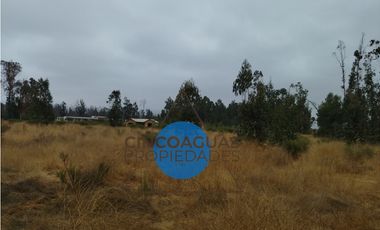 Foresta de Zapallar con 2 cabañas en obra
