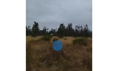 Foresta de Zapallar con 2 cabañas en obra