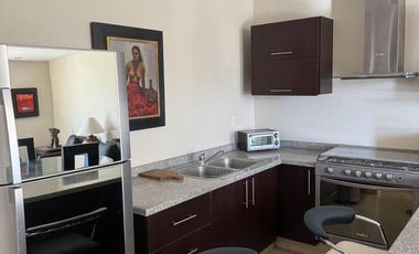 Renta Departamento Amueblado  en Privada Condesa Palmas – Planta Baja – 14,000