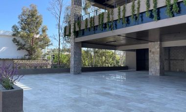 Renta Local 11 – Plaza Real de Juriquilla, Querétaro