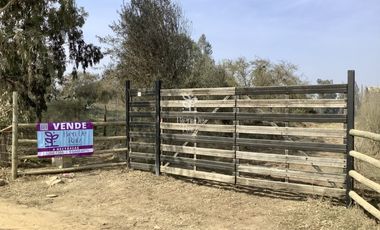 VENTA PARCELA 4 HA CAMINO SANTA ROSA, VILLA ALEGRE, MELIPILLA